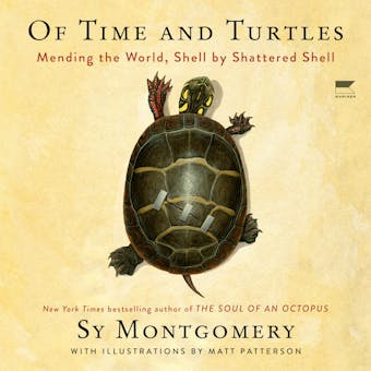 Of Time and Turtles: Mending a Stalled and Broken World, Shell by Shattered Shell - Sy Montgomery