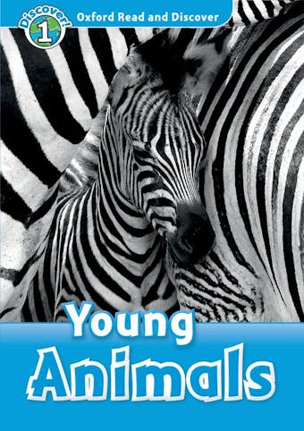 Young Animals - undefined