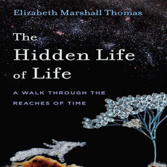 The Hidden Life of Life: A Walk through the Reaches of Time - undefined