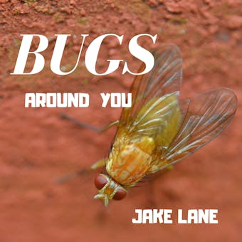 Bugs Around You - Jason Hill