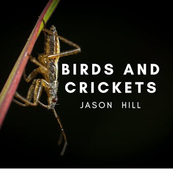 Birds and Crickets