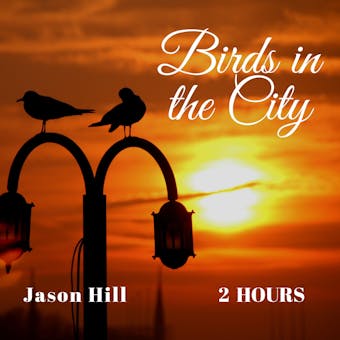 Birds in the City - undefined
