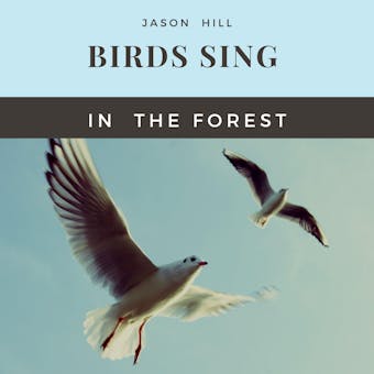 Birds Sing in the Forest - undefined