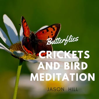 Butterflies Crickets and Bird Meditation - undefined