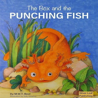 The Box and the Punching Fish - undefined