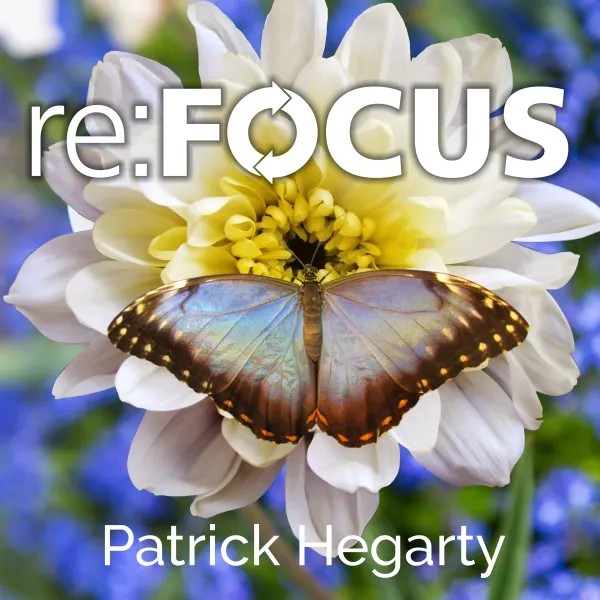 re:FOCUS : 