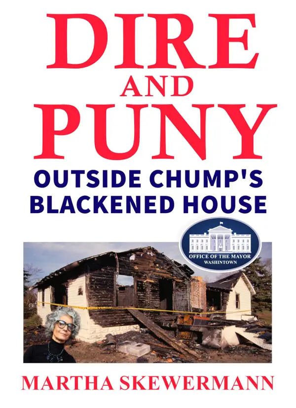 Dire and Puny : Outside Chump's Blackened House