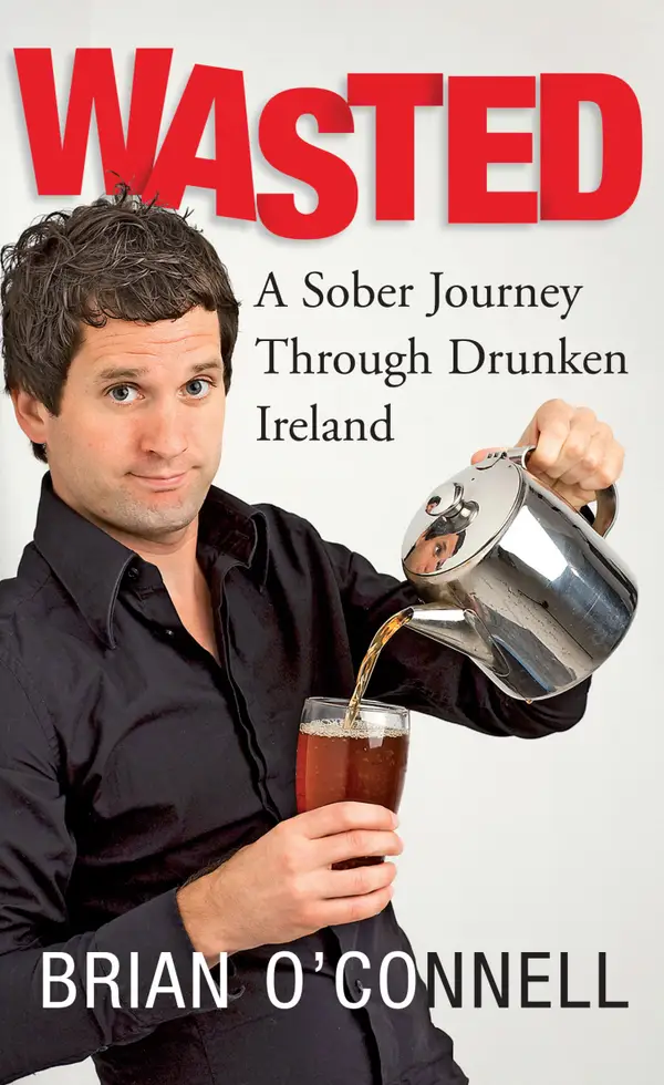 Wasted: Sober in Ireland : A Sober Journey Through Drunken Ireland