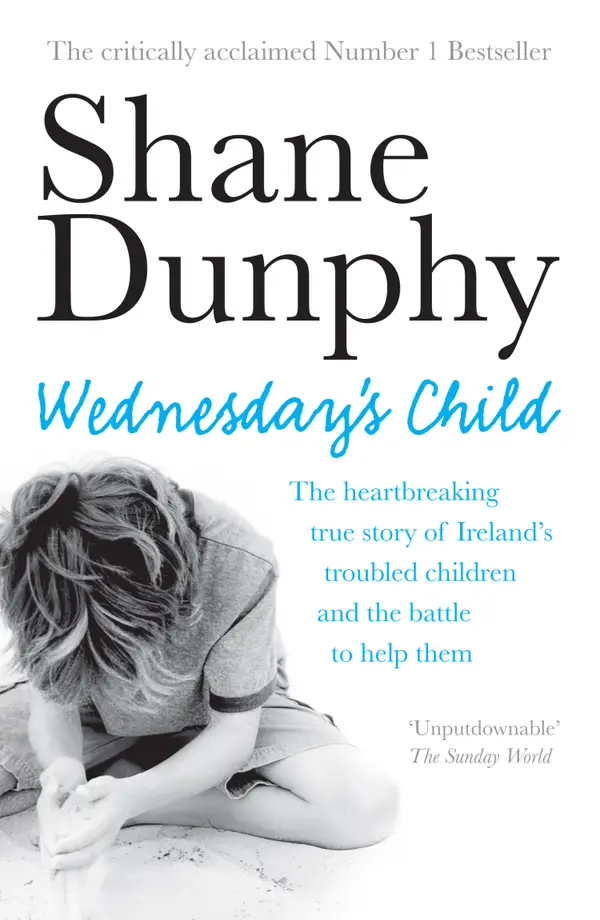 Wednesday's Child : One year in the life of an Irish child protection worker