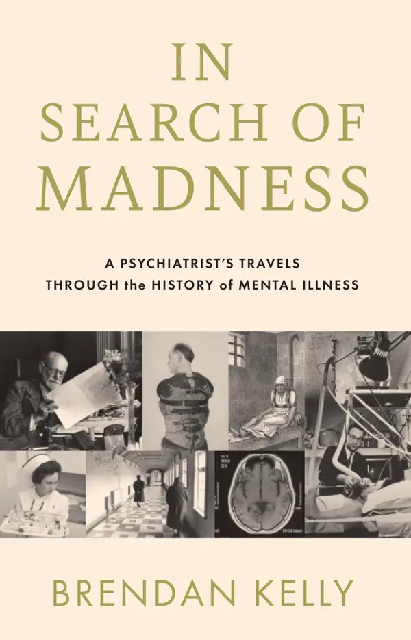 In Search of Madness : A Psychiatrist's Travels Through the History of Mental Illness