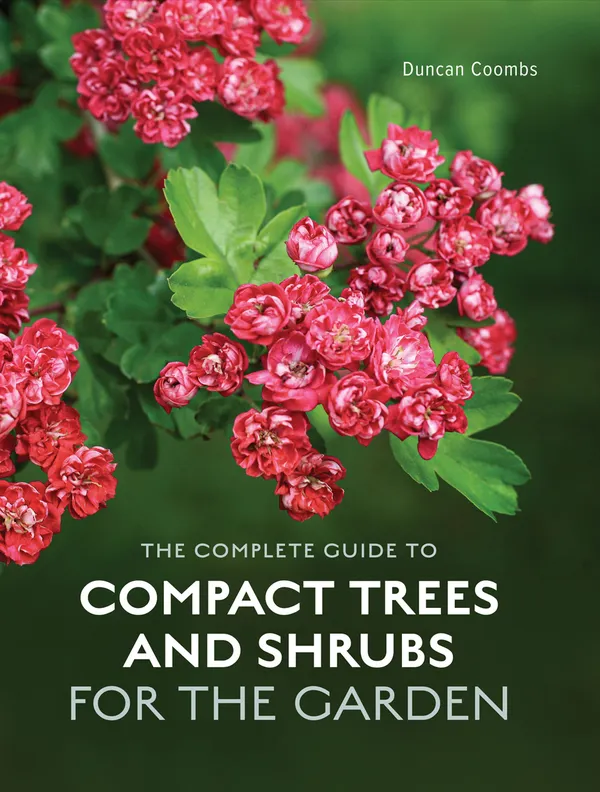 The Complete Guide to Compact Trees and Shrubs
