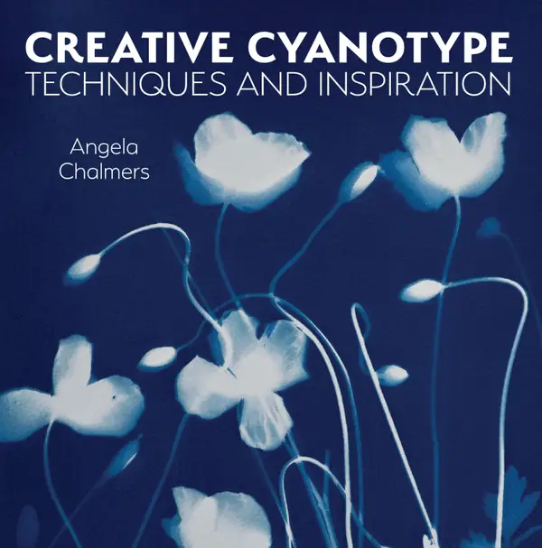 Creative Cyanotype : Techniques and Inspiration