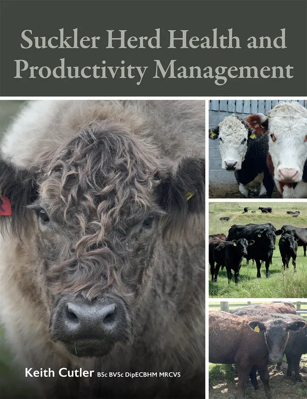Suckler Herd Health and Productivity Management