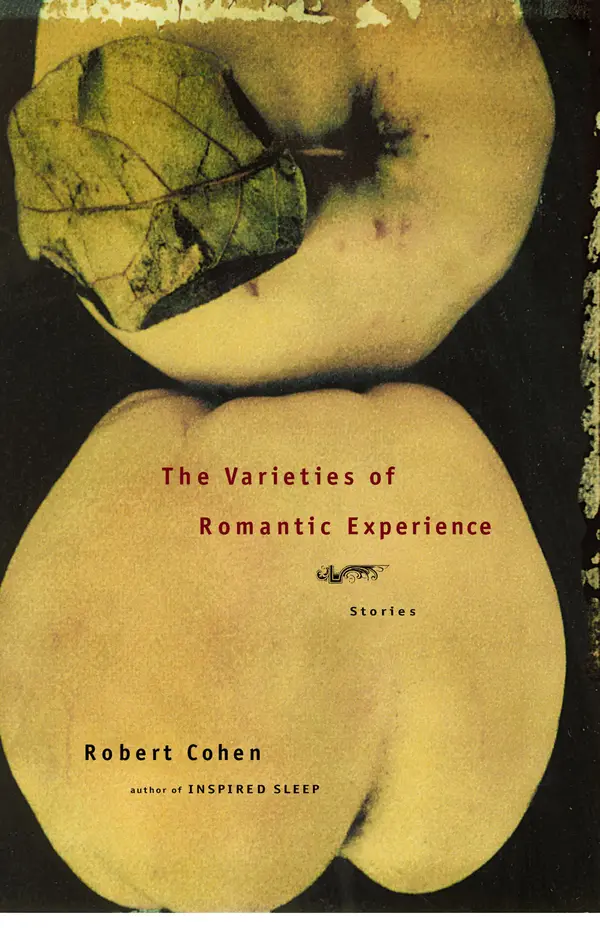 The Varieties of Romantic Experience : Stories