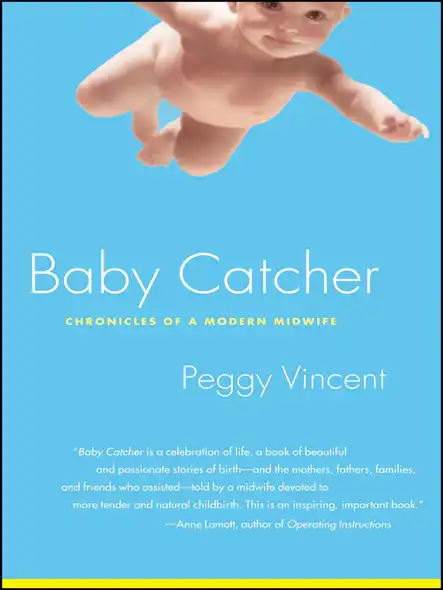 Baby Catcher : Chronicles Of A Modern Midwife