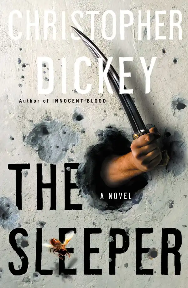 The  Sleeper : A Novel