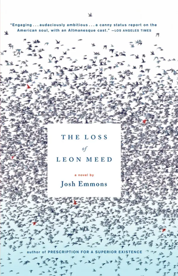 The Loss of Leon Meed : A Novel