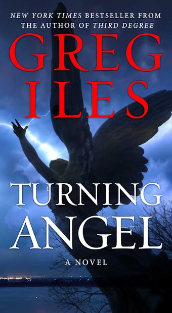 Turning Angel: A Novel - undefined