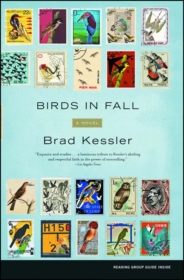 Birds in Fall : A Novel