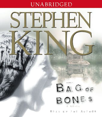 Bag Of Bones - Stephen King