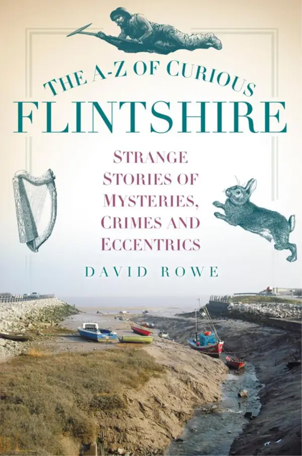 The A-Z of Curious Flintshire : Strange Stories of Mysteries, Crimes and Eccentrics