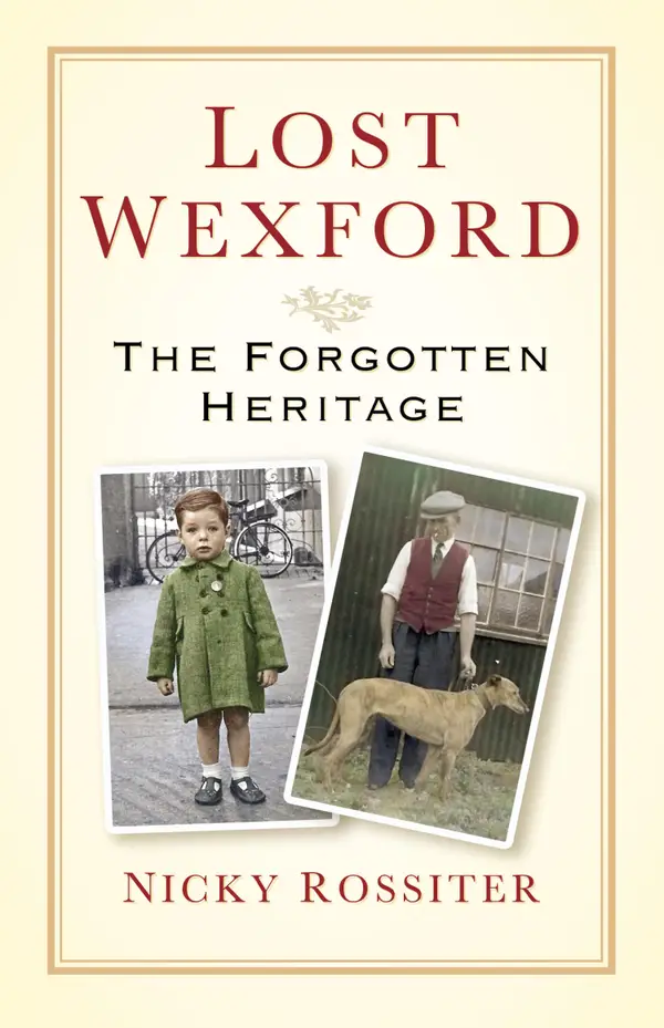 Lost Wexford : The Forgotten Heritage