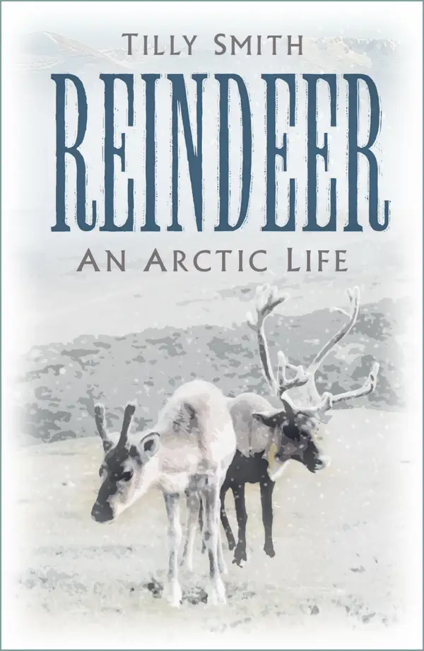 Reindeer : An Arctic Life