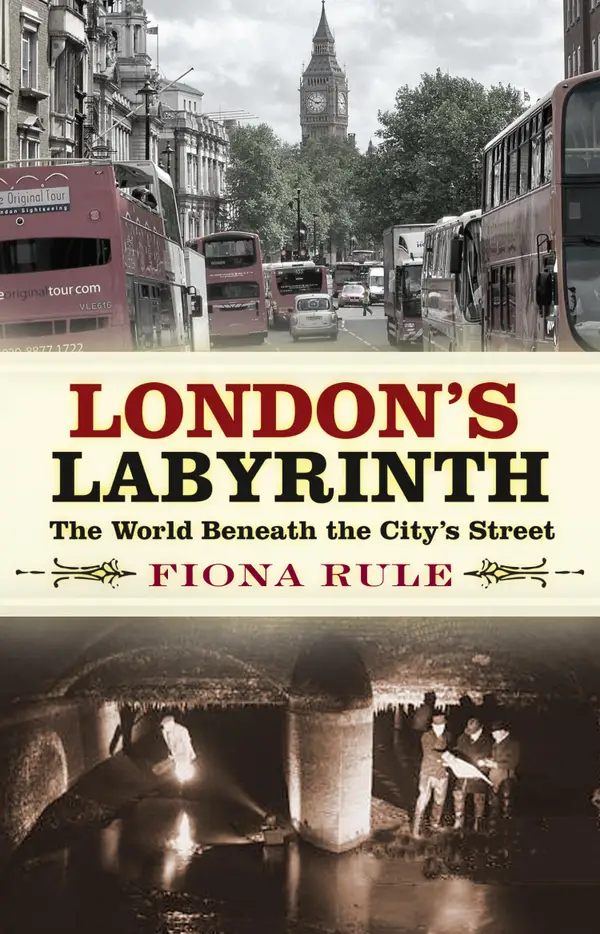 London's Labyrinth : The World Beneath the City's Streets