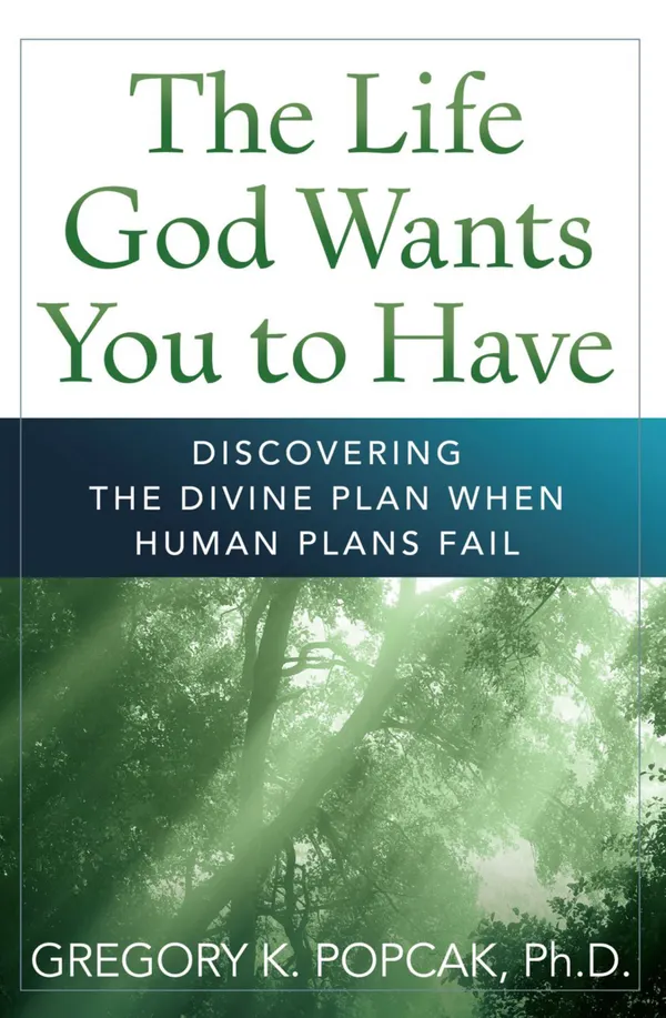 Life God Wants You to Have : Discovering the Divine Plan When Human Plans Fail