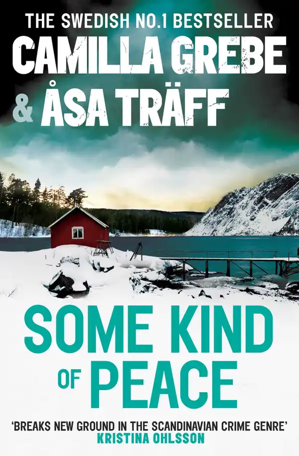 Some Kind of Peace: A Novel