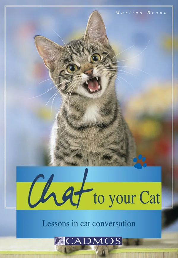 Chat to your Cat : Lessons in cat conversation