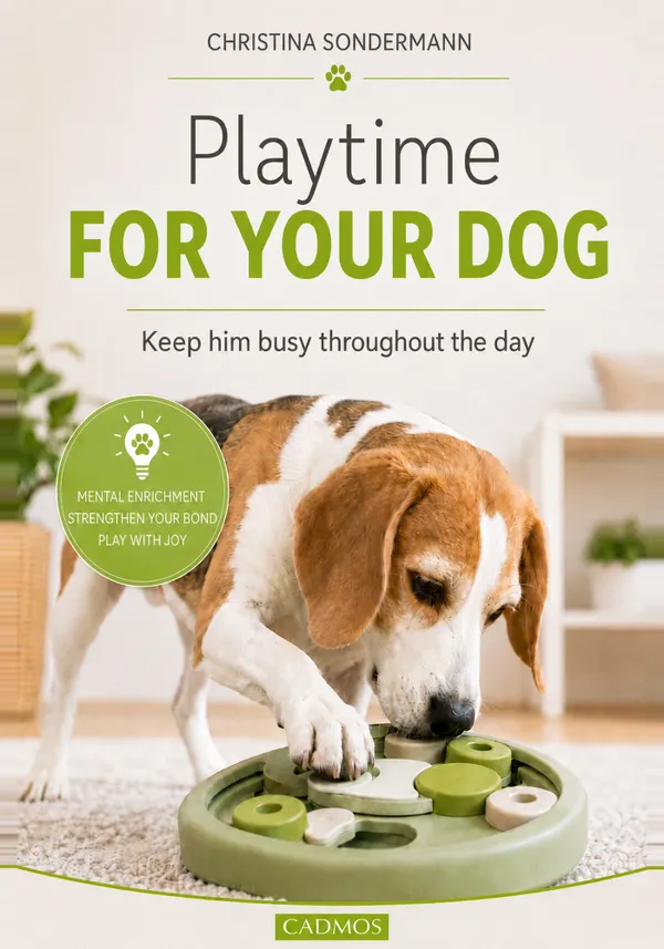 Playtime for your dog : Keep him busy throughout the day