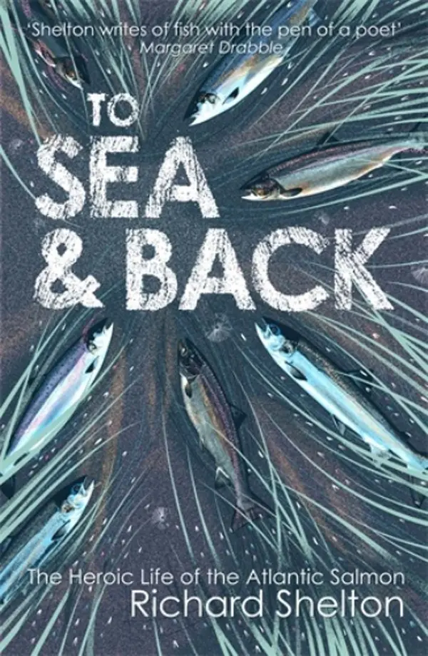 To Sea and Back : The Heroic Life of the Atlantic Salmon