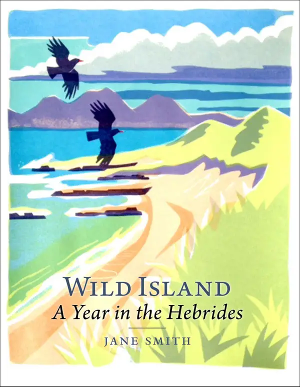Wild Island : A Year in the Hebrides