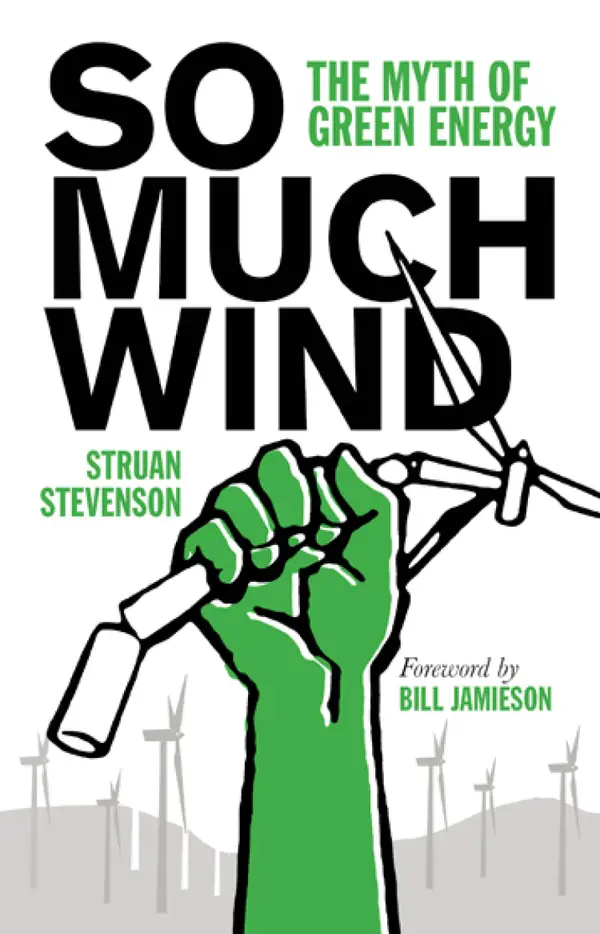 So Much Wind : The Myth of Green Energy