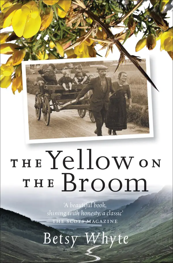 The Yellow on the Broom : The Early Days of a Traveller Woman