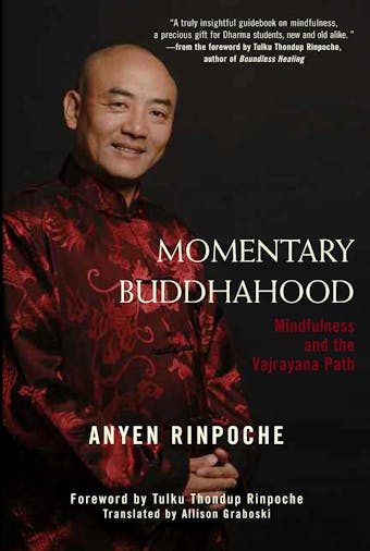 Momentary Buddhahood: Mindfulness and the Vajrayana Path - Anyen Anyen