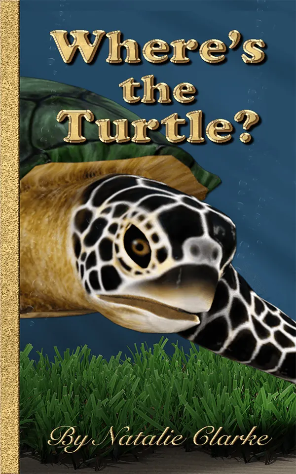 Where's the Turtle?