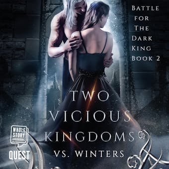 Two Vicious Kingdoms: Battle for the Dark King, Book 2 - V S Winters