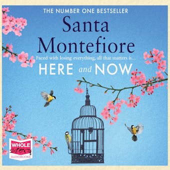 Here and Now - Santa Montefiore