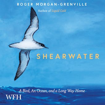 Shearwater: A Bird, an Ocean, and a Long Way Home - undefined