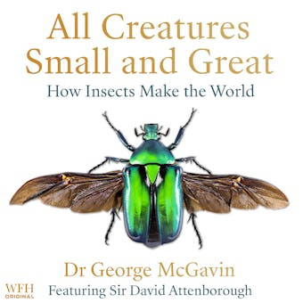 All Creatures Small and Great: How Insects Make the World - undefined