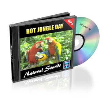 Hot Jungle Day - Relaxation Music and Sounds: Natural Sounds Collection Volume 4 - undefined