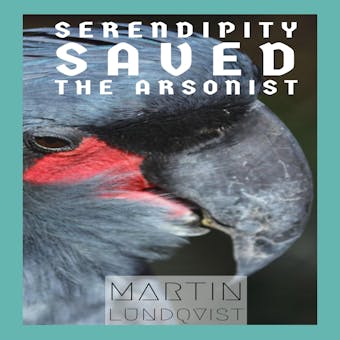 Serendipity Saved the Arsonist - undefined