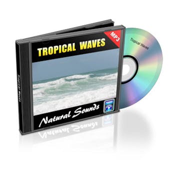 Tropical Waves - Relaxation Music and Sounds: Natural Sounds Collection Volume 11 - undefined