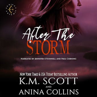 After The Storm: A Project Artemis Novel - undefined