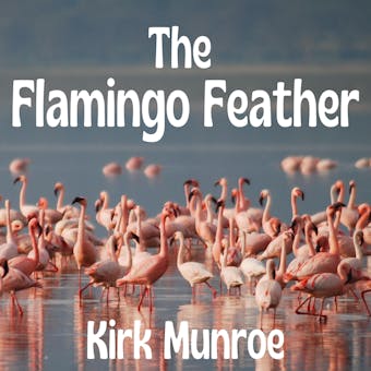The Flamingo Feather - undefined