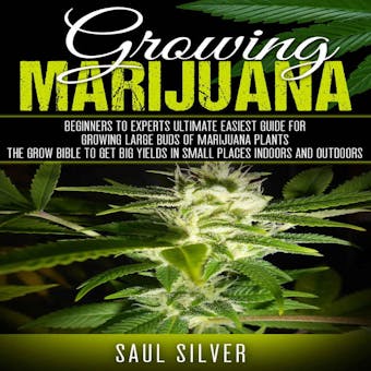 Marijuana : Growing Marijuana: Beginners To Experts Ultimate Easiest Guide For Growing Large Buds Of Marijuana Plants.The Grow Bible To Get Big Yields In Small Places Indoors And Outdoors - Saul Silver