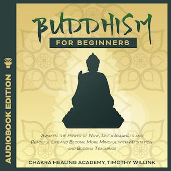 Buddhism for Beginners: Awaken the Power of Now, Live a Balanced and Peaceful Life and Become More Mindful with Meditation and Buddha Teachings - Timothy Willink