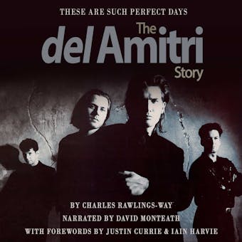 These Are Such Perfect Days: The Del Amitri Story - undefined